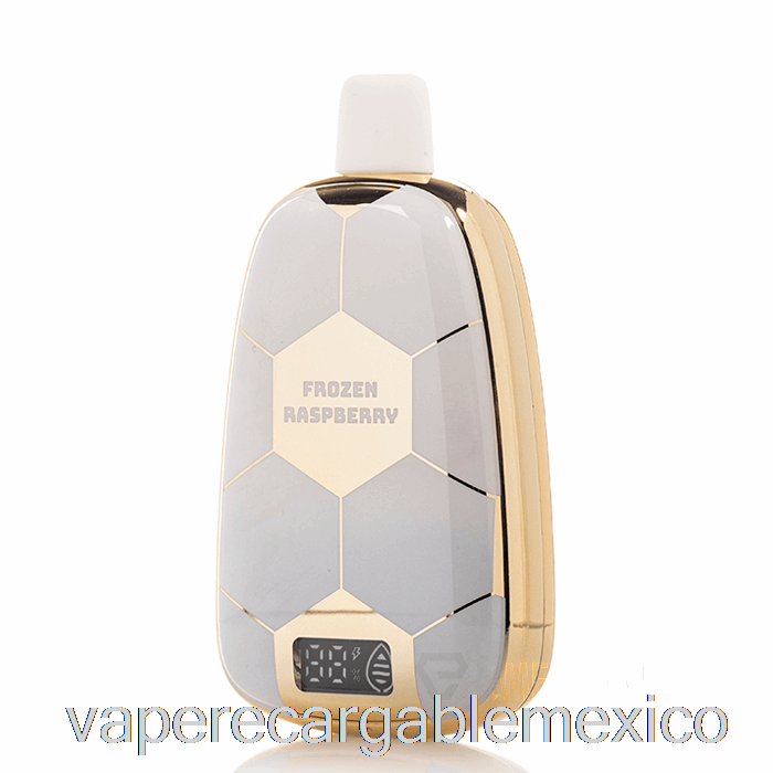 Vape Recargable Ronaldinho 10 15k Frambuesa Congelada Desechable